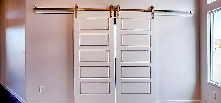 Glass Barn Door with Installation Hardware Kit Chambersburg