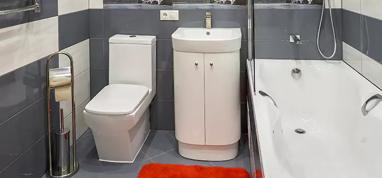 Hansgrohe Shaving Mirror Chambersburg